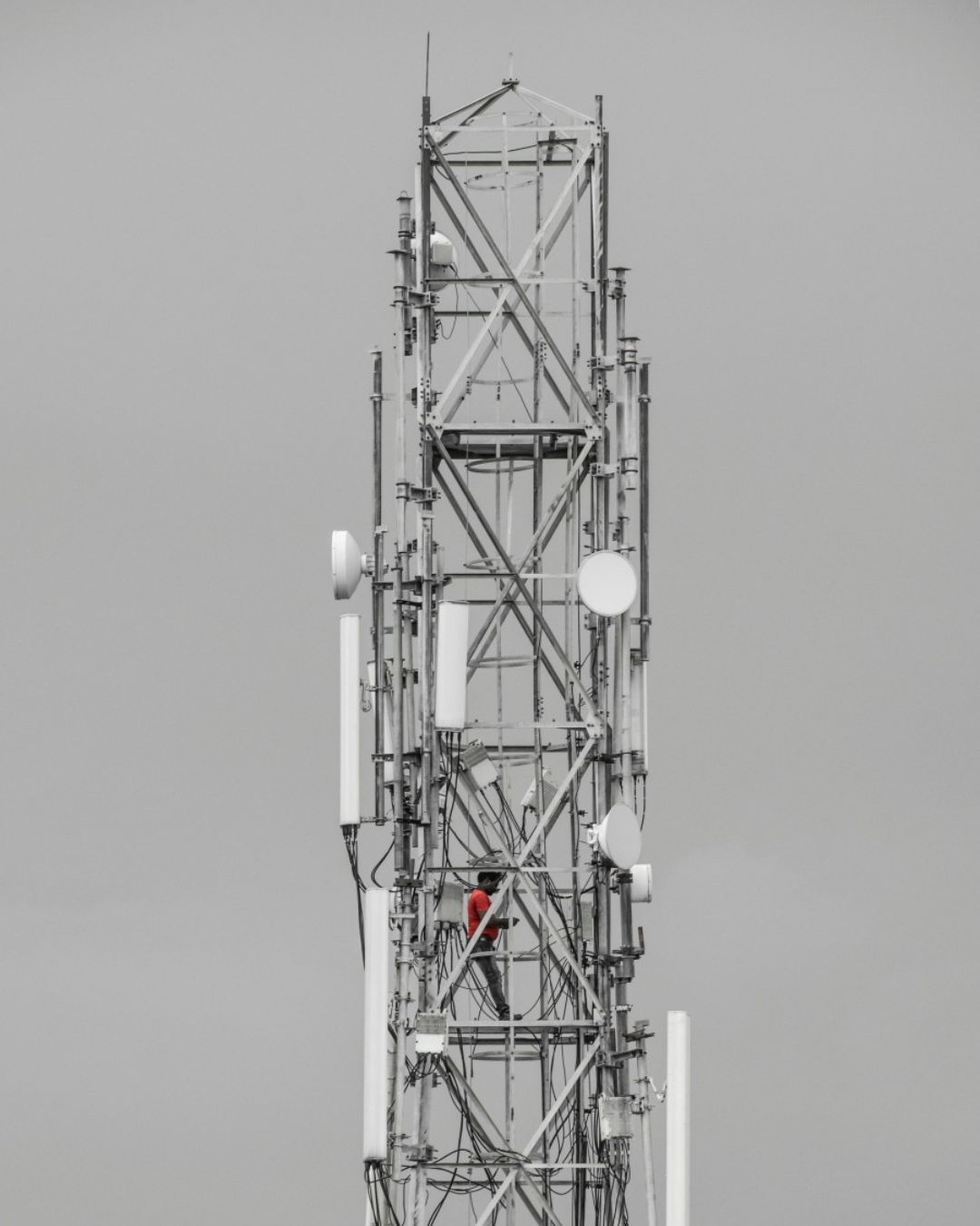 TOWER (2)